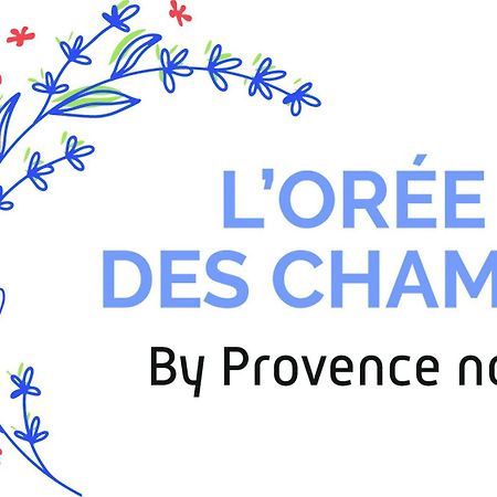 Provence Now Apartment Cabrieres-d'Avignon Luaran gambar
