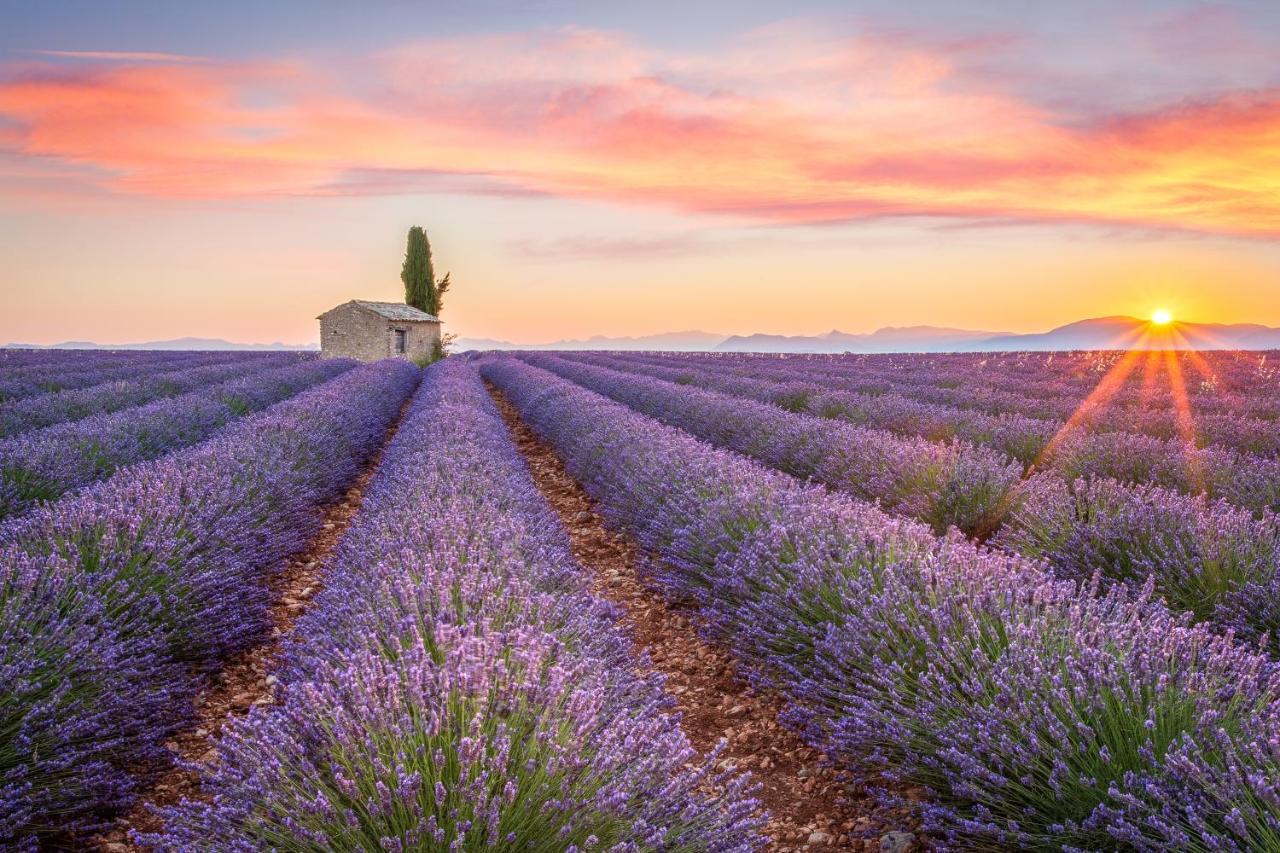 Provence Now Apartment Cabrieres-d'Avignon Luaran gambar
