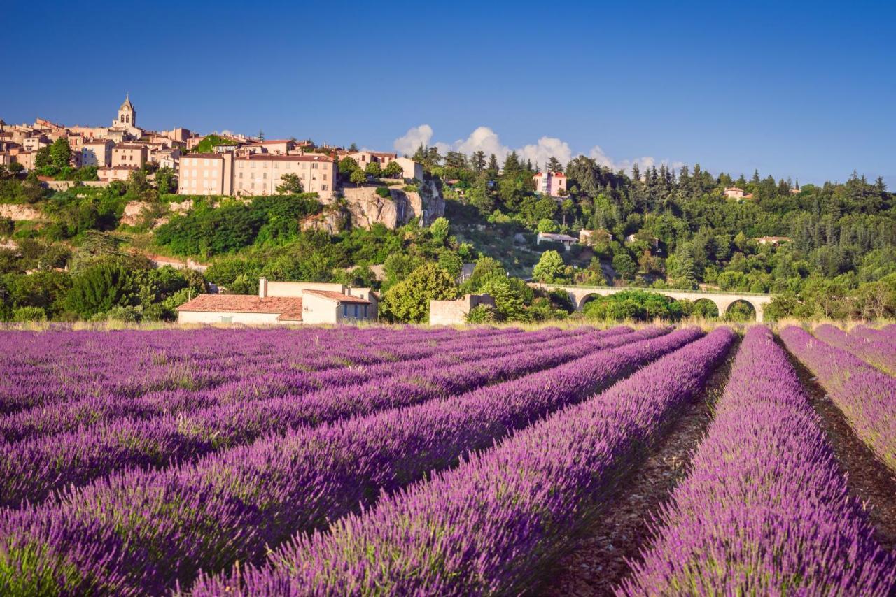 Provence Now Apartment Cabrieres-d'Avignon Luaran gambar