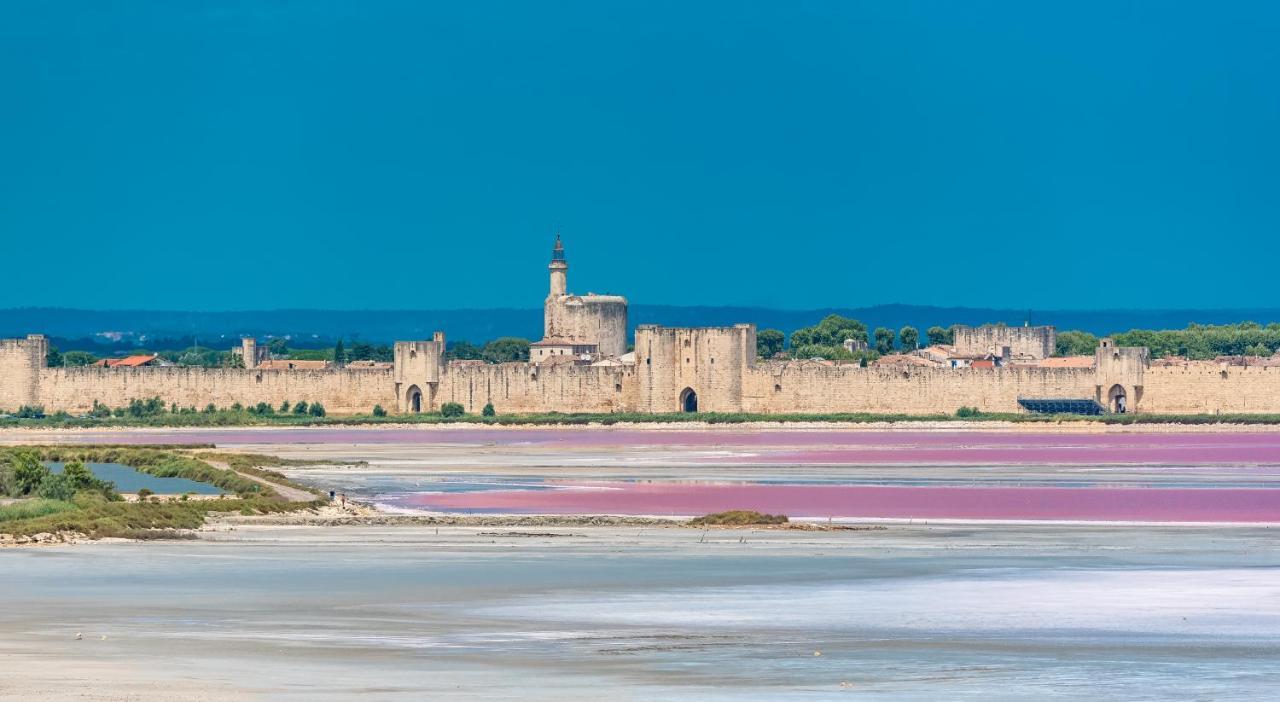 Provence Now Apartment Cabrieres-d'Avignon Luaran gambar