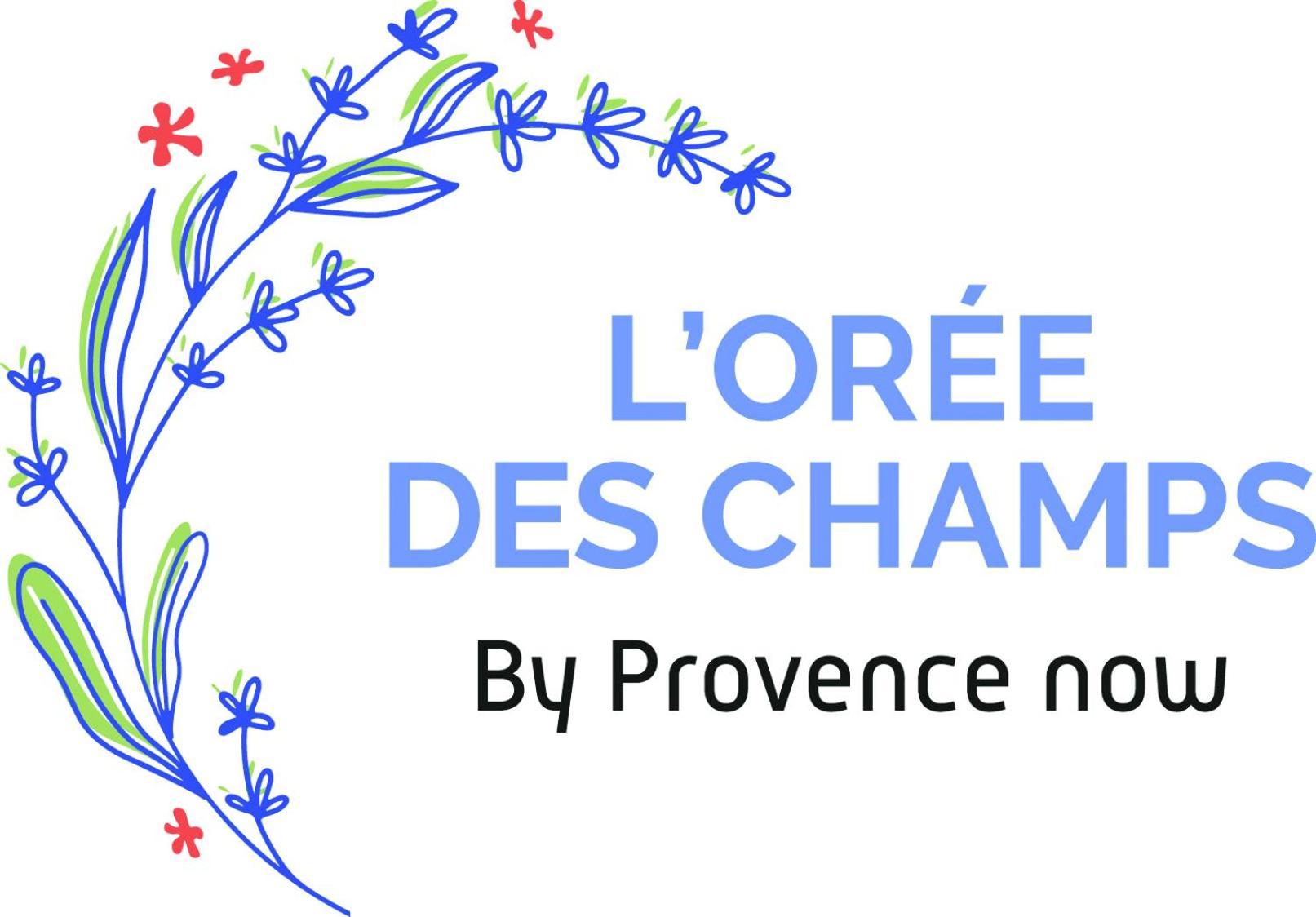 Provence Now Apartment Cabrieres-d'Avignon Luaran gambar